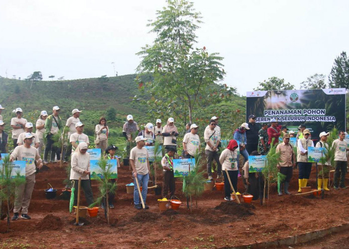 Rehabilitasi DAS di Cianjur, Pertamina EP Cepu Tanam 157.753 Pohon di Area Seluas 127 Hektar