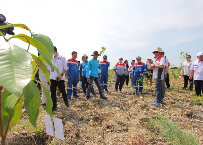 Pertamina EP Cepu Dukung Konservasi Kawasan Hutan di Bojonegoro dengan Program Biru Langit