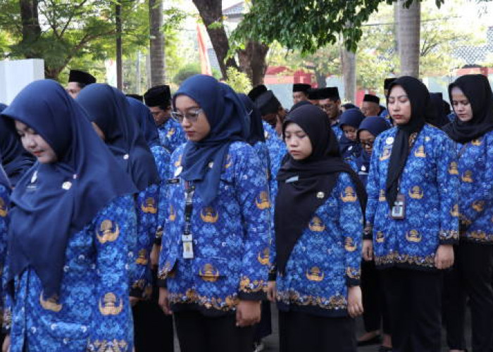 BKN Usulkan Usia Pensiun ASN Hingga 70 Tahun, Apa Dampaknya?