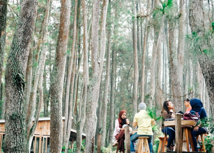 GILA! Warung Kopi Ini Buka 24 Jam di Tengah Hutan Pegunungan Mojokerto, Siapa Mau Beli?