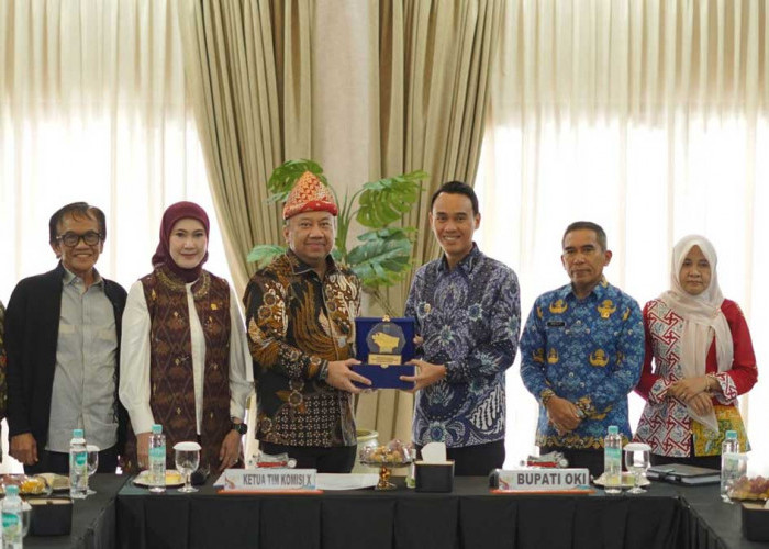 Status PPPK Tapi Gaji Turun? Bupati OKI Bongkar Nasib Miris Guru Paruh Waktu ke DPR RI