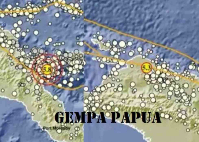 Hari Ini Papua 2 Kali Diguncang Gempa, Ada yang Kekuatannya 5.8 Magnitudo