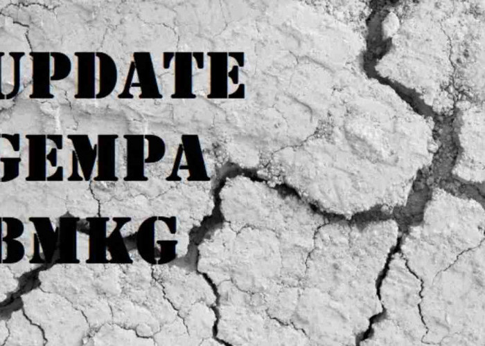 Update BMKG, Gempa 5.5 Magnitudo Guncang Maluku Tenggara Barat Pagi Ini, Tak Berpotensi Tsunami