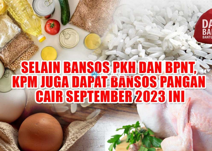 Rezeki September, Selain Bansos PKH dan BPNT, KPM juga Dapat Bansos Pangan Cair September 2023 Ini