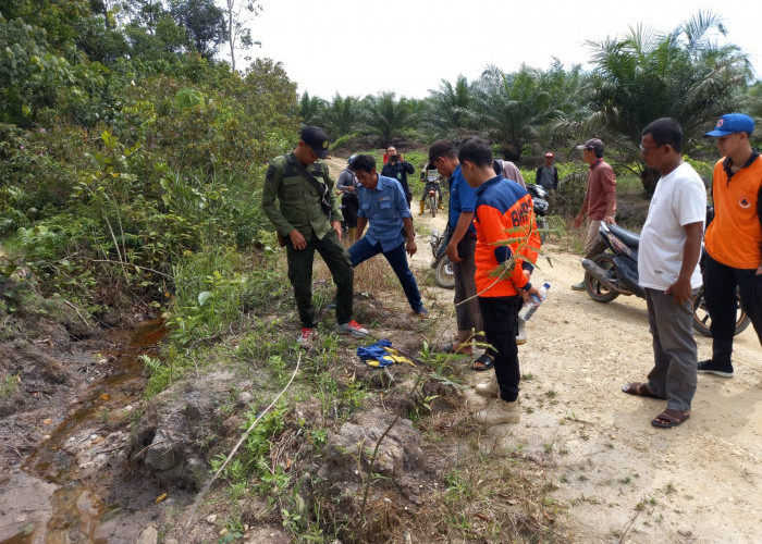 Turun ke Lokasi Temuan Kaki Harimau di Muratara, Tim BKSDA Sumsel Sebut Hewan ini Milik Jejak Kaki