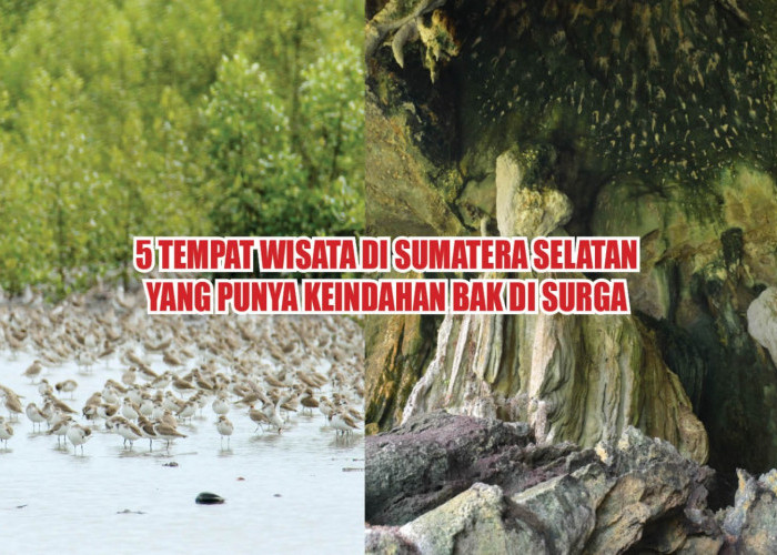 Jarang Dikunjungi! Ini 5 Tempat Wisata di Sumatera Selatan yang Punya Keindahan Bak di Surga