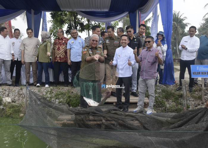 Bank Sumsel Babel Bersama Pemkot Palembang Sinergi Lestarikan Ikan Belida 