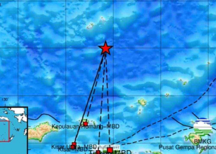 Gempa 4.7 Magnitudo Guncang Maluku Barat Daya Pagi Ini, Cek Update Pusat Gempa Regional IX Ambon