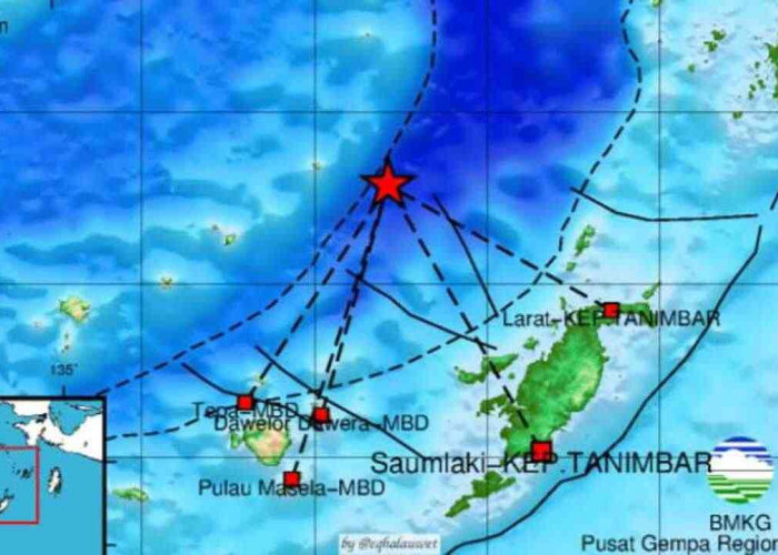 Gempa 4.7 Magnitudo Guncang Maluku Barat Daya, Cek Update Pusat Gempa Regional IX Ambon