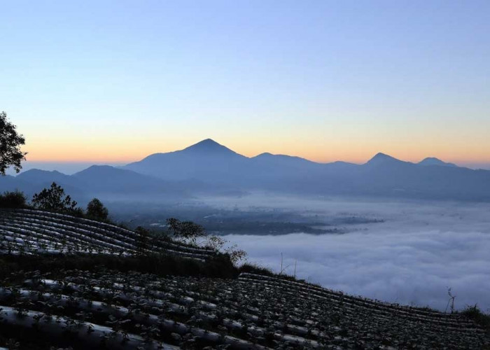 Gunung Putri Lembang: Cocok Untuk Pendaki Pemula, Cantiknya Gak Ada Obat!