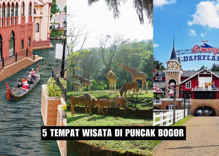 5 Tempat Wisata Hits di Puncak Bogor, Vibes Ala Eropa Berasa di Kota Venesia, Liburan Wajib Dikunjungi