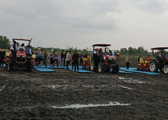 Dukung Swasembada Pangan dan Makan Bergizi Gratis, Kapolri Pimpin Tanam Jagung Serentak di Ogan Ilir