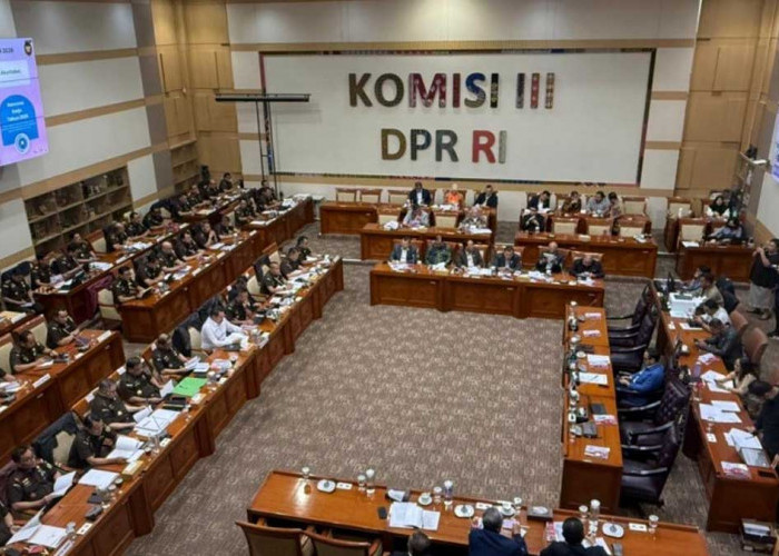 Kajati Sumsel Dr. Ketut Sumedana Hadiri Rapat Komisi III DPR RI