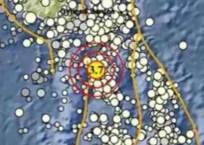 Update BMKG: Gempa Magnitudo 3.7 Guncang Melonguane Sulut, Tak Berpotensi Tsunami