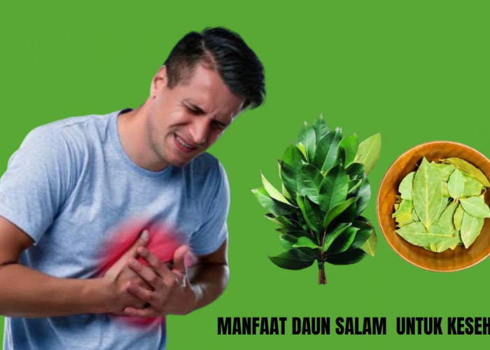 5 Manfaat Daun Salam untuk Kesehatan, Nomor 4 Bisa Membantu Atasi Stres