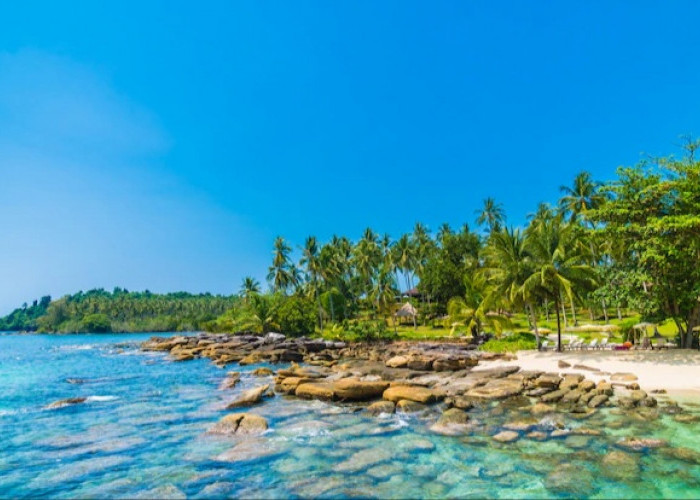 7 Tempat Wisata Terbaik di Kintamani Bali, Perbukitan dan Panorama Alamnya Segarkan Mata