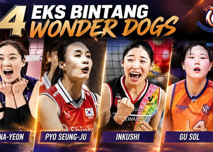 4 Bintang Wonder Dogs Absen Hadapi Hyundai Hillstate, Gu Sol Malah di Sisi Megatron