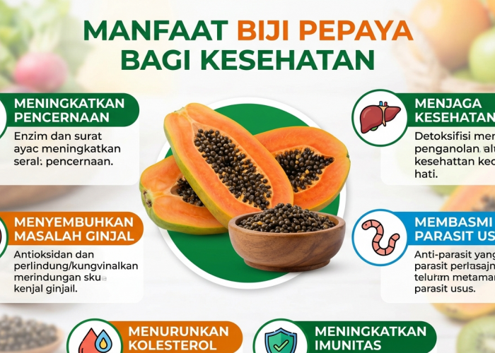 Jangan Dibuang Lagi! Ini Segudang Manfaat Luar Biasa Biji Pepaya untuk Kesehatan Tubuh