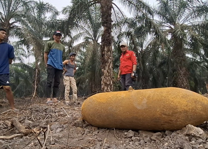 Geger Ogan Ilir! Mortir Raksasa 1,3 Meter Ditemukan di Kebun Sawit, Polisi Beri Peringatan Keras