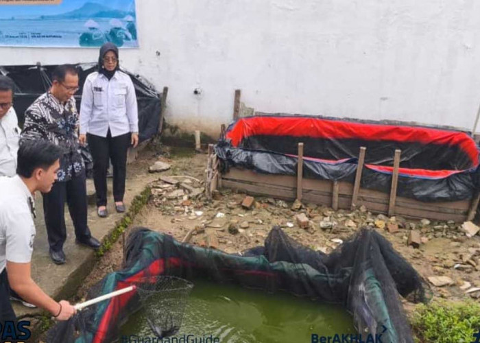 Rahasia Sukses Budidaya Lele di Rutan Baturaja: Bekali Warga Binaan Jadi Juragan Ikan