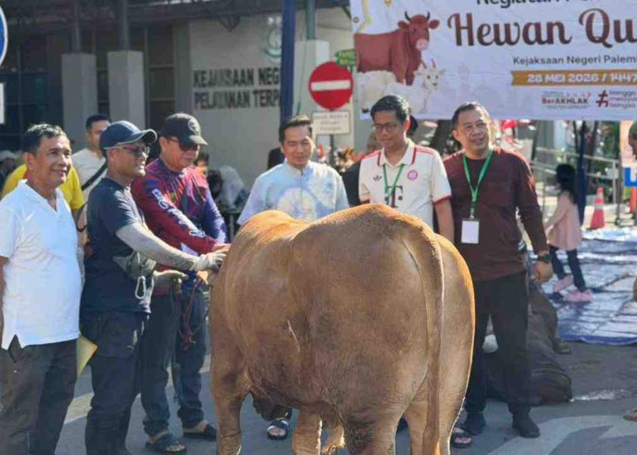 Kejari Palembang Tebar 500 Paket Daging Kurban, Ratusan Warga Sambut Antusias