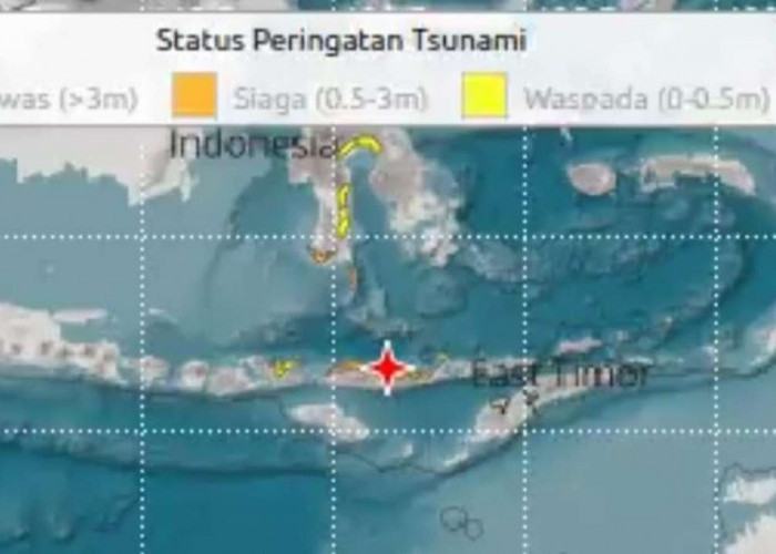 Gempa M7,7 Guncang NTT, Tsunami Terdeteksi hingga 0,94 Meter, Warga Berhamburan