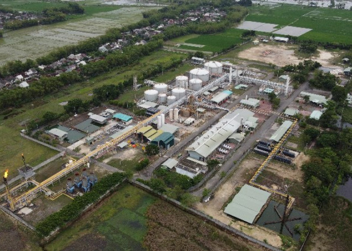 Subholding Upstream Pertamina Bukukan Produksi Minyak 556 MBOPD dan Gas Bumi 2,8 BSCFD