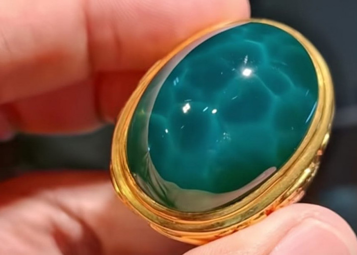 Ini Jenis Batu Akik Paling Dicari di Tahun 2026, Mirip Tempurung Kura-Kura