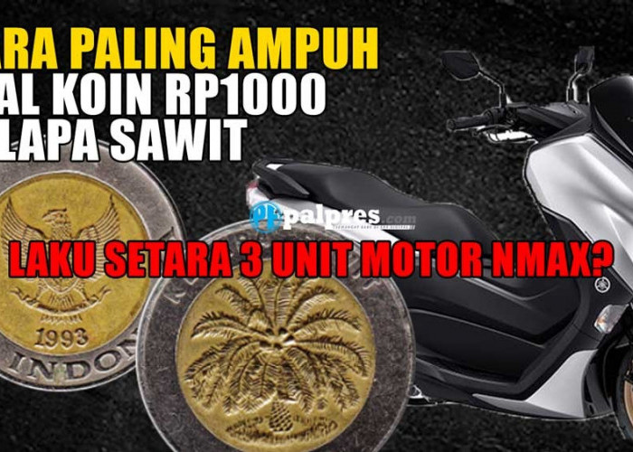 Ini Cara Paling Ampuh Jual Koin Kuno Rp1000 Kelapa Sawit, Bisa Borong 3 Unit Motor Yamaha Nmax, Buktikan!