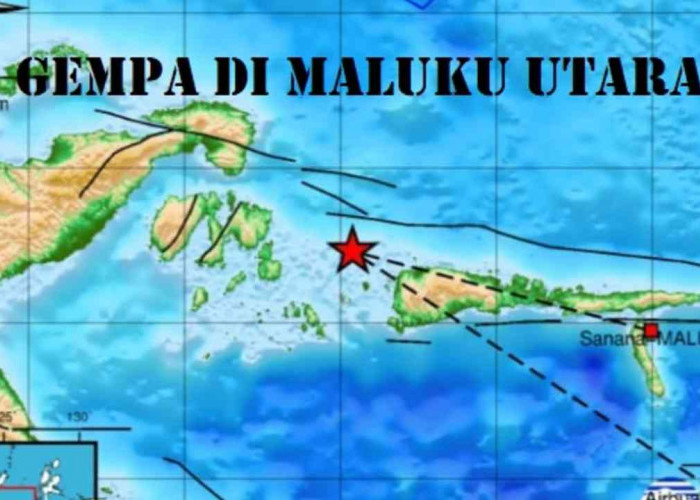 Pagi Ini Gempa Guncang Maluku Utara, Cek Kekuatan, Kedalaman dan Episentrumnya