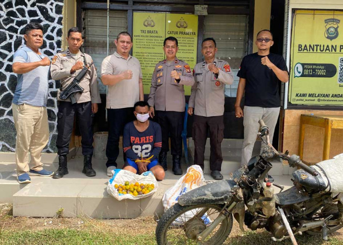 Curi 700 Kg Jeruk, Petani di Ogan Ilir Ini Nekat Jual Hasil Curian Demi Judol