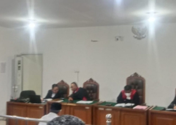 Klien Dituntut 6 Tahun 3 Bulan dalam Kasus Lahan 1.756 Hektare, PH Sebut Tak Sesuai Fakta