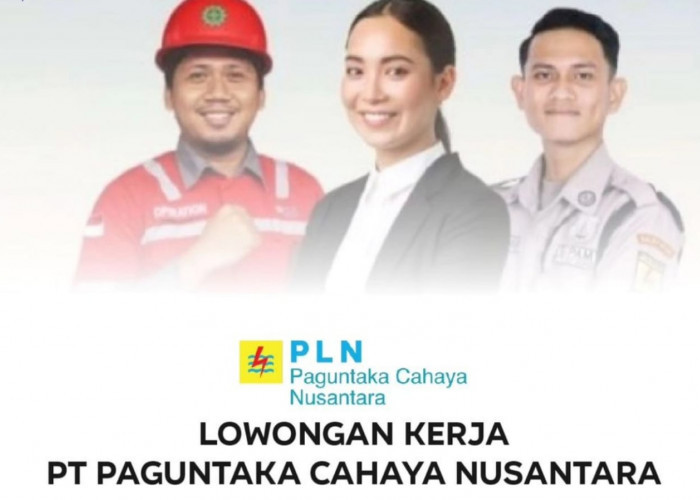 Dibuka 3 Lowongan Kerja untuk 5 wilayah penempatan dari PLN Group PT Paguntaka Cahaya Nusantara Cek Disini