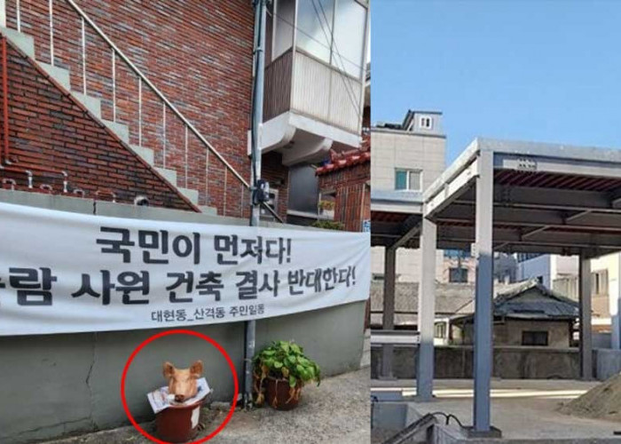 Warga Daegu Korea Selatan Pajang 2 Kepala Babi, Protes Pembangunan Masjid