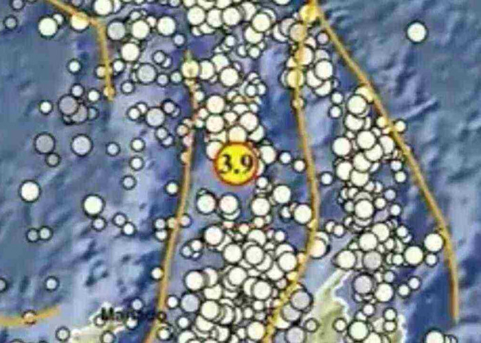 Update BMKG, Gempa Magnitudo 3.9 Guncang Melonguane Sulut, Cek Titik Episentrum dan Kedalamannya