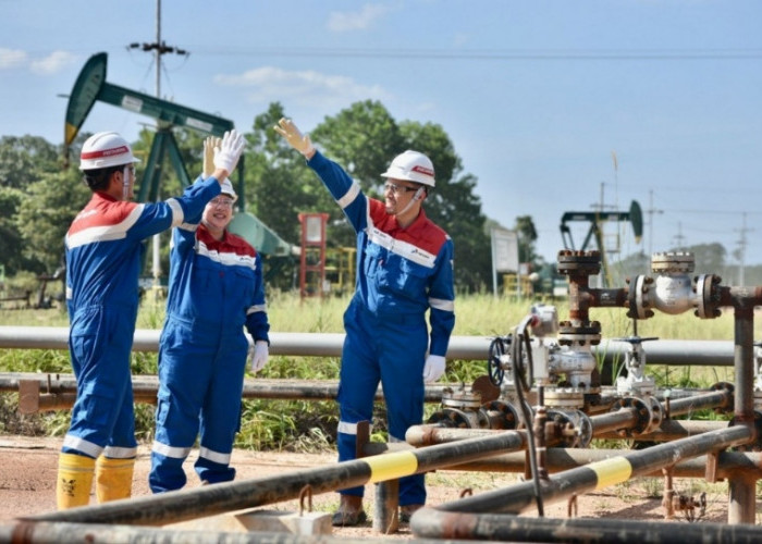 PHE Terus Menjaga Ketahanan Energi Nasional di Usia 19 Tahun dengan Berbagai Cara, Salah Satunya Ini? 