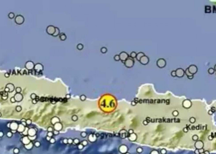 Pagi Ini Gempa 3.5 M Guncang Papua, Kemarin 4.6 M di Batang Jateng