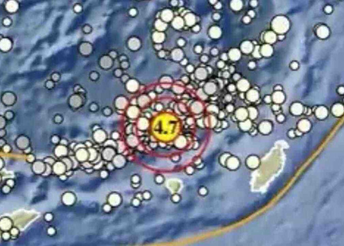 Update BMKG, Gempa 4.7 Magnitudo Guncang Maluku Tenggara Barat, Cek Episentrum dan Kedalamannya