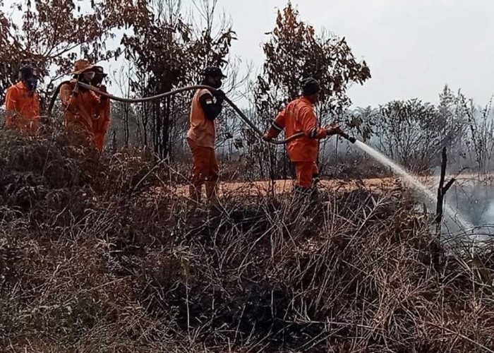 KACAU! Luasan Karhutla Sumsel Bulan September Meroket Naik, Total Sampai 9.697 Hektare