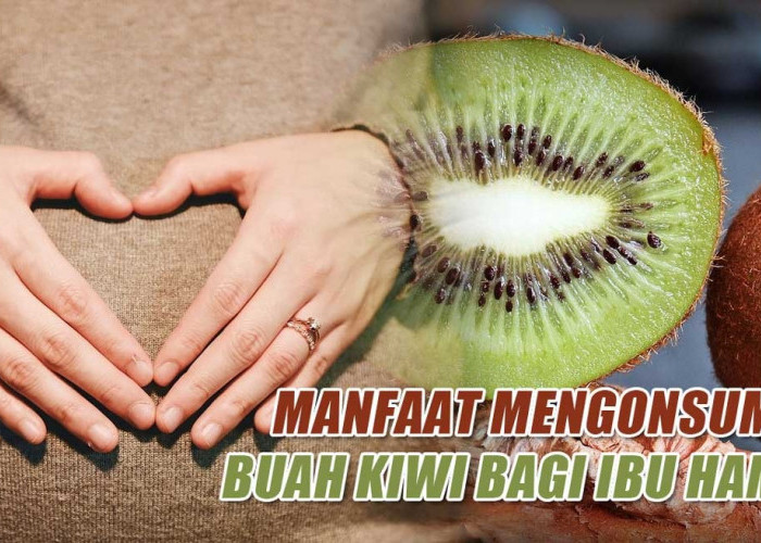 Bermanfaat Bagi Ibu Hamil, 6 Khasiat Buah Kiwi Yang Jarang Diketahui, Berbuah 1 Tahun Sekali