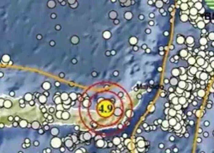 Pagi Ini, Gempa Laut 5.5 Magnitudo Guncang Bone Bolango Gorontalo