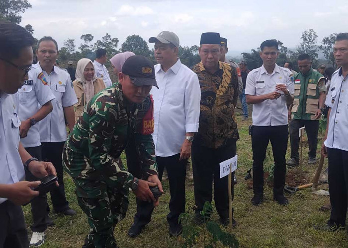Dulu Semak Belukar, Kini Jadi Tambang Emas Hijau: Inovasi Agrowisata di Kabupaten Lahat