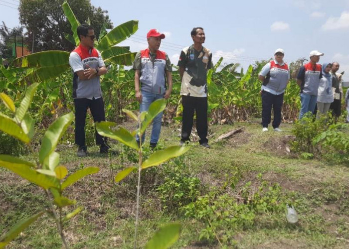 Dukung Pengurangan Jejak Emisi Karbon, PEPC JTB Inisiasi Pembentukan Hutan Sekolah