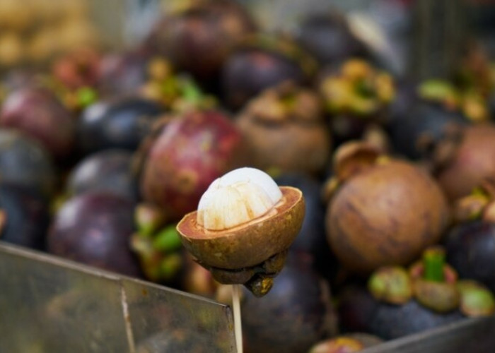 Jadi Tanaman Asli Indonesia! Inilah 7 Manfaat Buah Manggis yang Luar Biasa, Sehat Ga Perlu Mahal