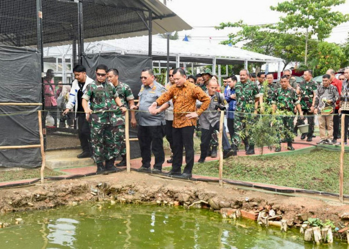 Pemprov Sumsel Bersama Kodam II Sriwijaya Lakukan Sebuah SinergI Ketahanan Pangan Lokal