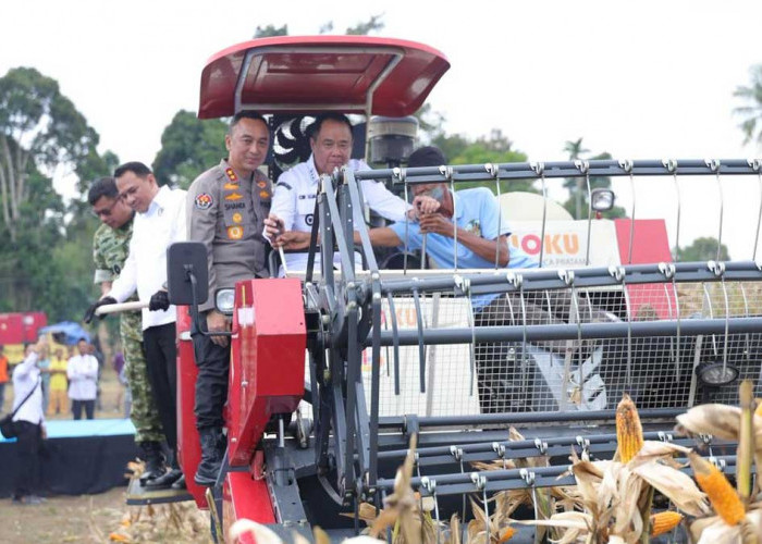 Dukung Swasembada Pangan 2026, Intip Cara Polda Sumsel Kawal KUR dan Manjakan Petani Jagung Lokal