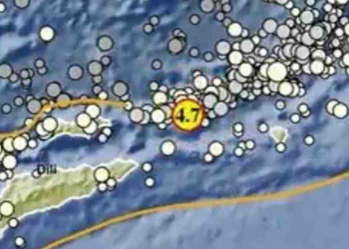 Gempa Magnitudo 4.7 Guncang Maluku Barat Daya, Cek Kedalaman dan Episentrumnya