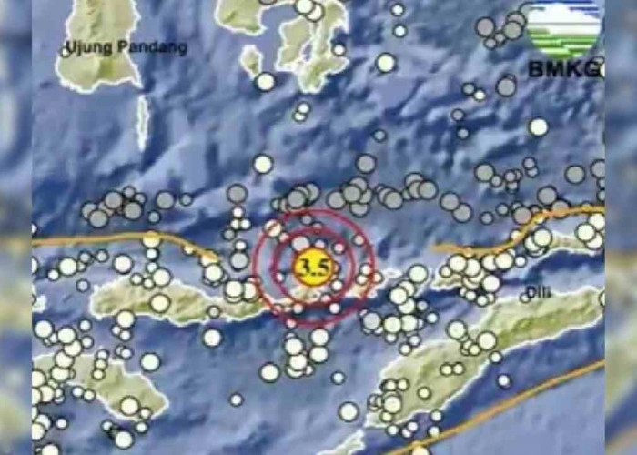 Update BMKG,  Gempa 3.5 Magnitudo Guncang Larantuka NTT, Tak Berpotensi Tsunami, Kedalamannya 160 Km