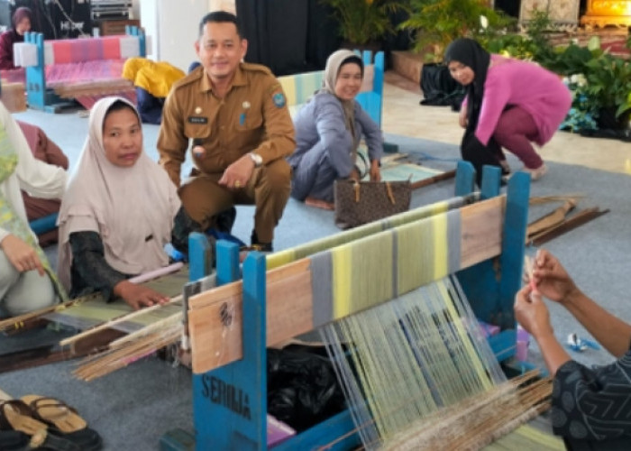 Motif Songket Asli OKI Kembali Dihidupkan, Ini Pesan Ketua Dekranasda Ike Meilina