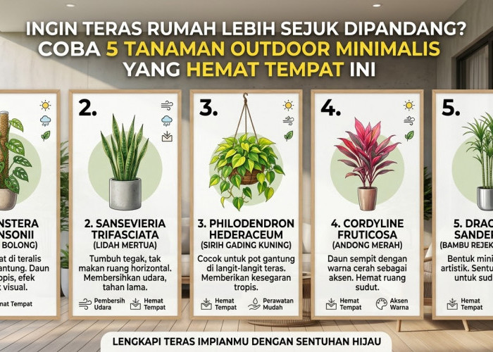 Teras Rumah Sempit Jadi Makin Sejuk! Ini 5 Pilihan Tanaman Outdoor Minimalis yang Hemat Tempat & Mudah Dirawat